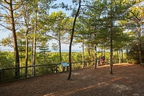 Randonnées pédestres à Saint Jean de Monts